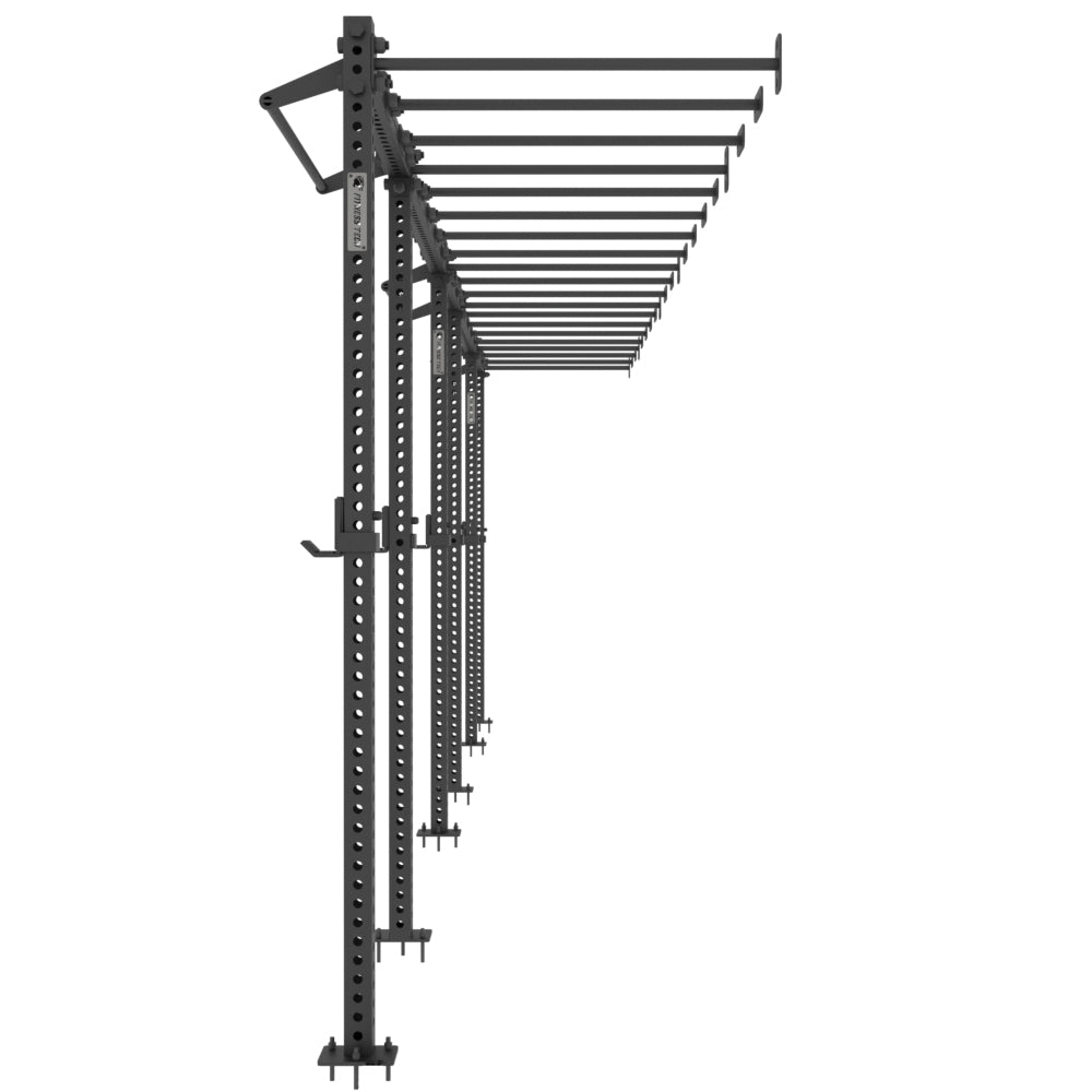 Rig Funcional de Pared con Monkey Bars (3 Puestos) - Lateral