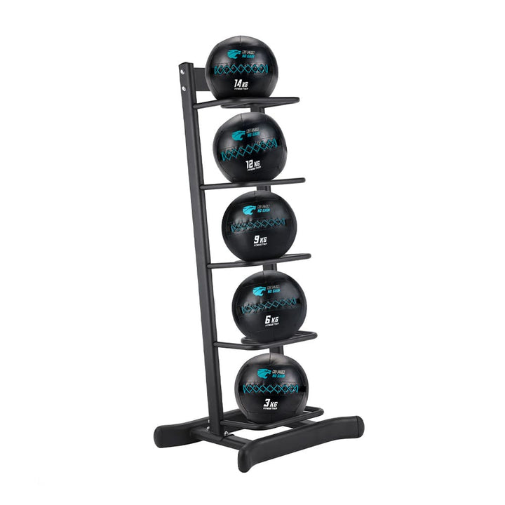 Conjunto 5 Wall Balls (3–14 kg) + Suporte