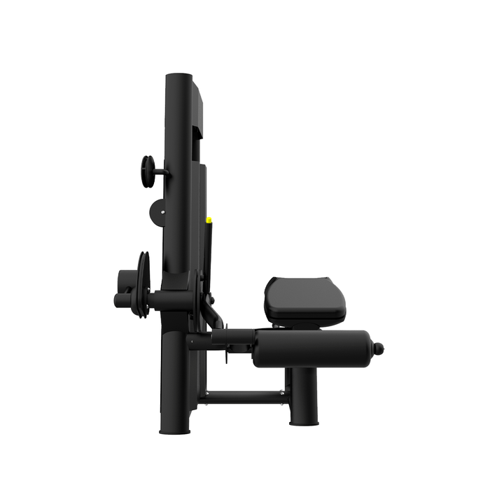 Máquina seletorizada / femoral deitada